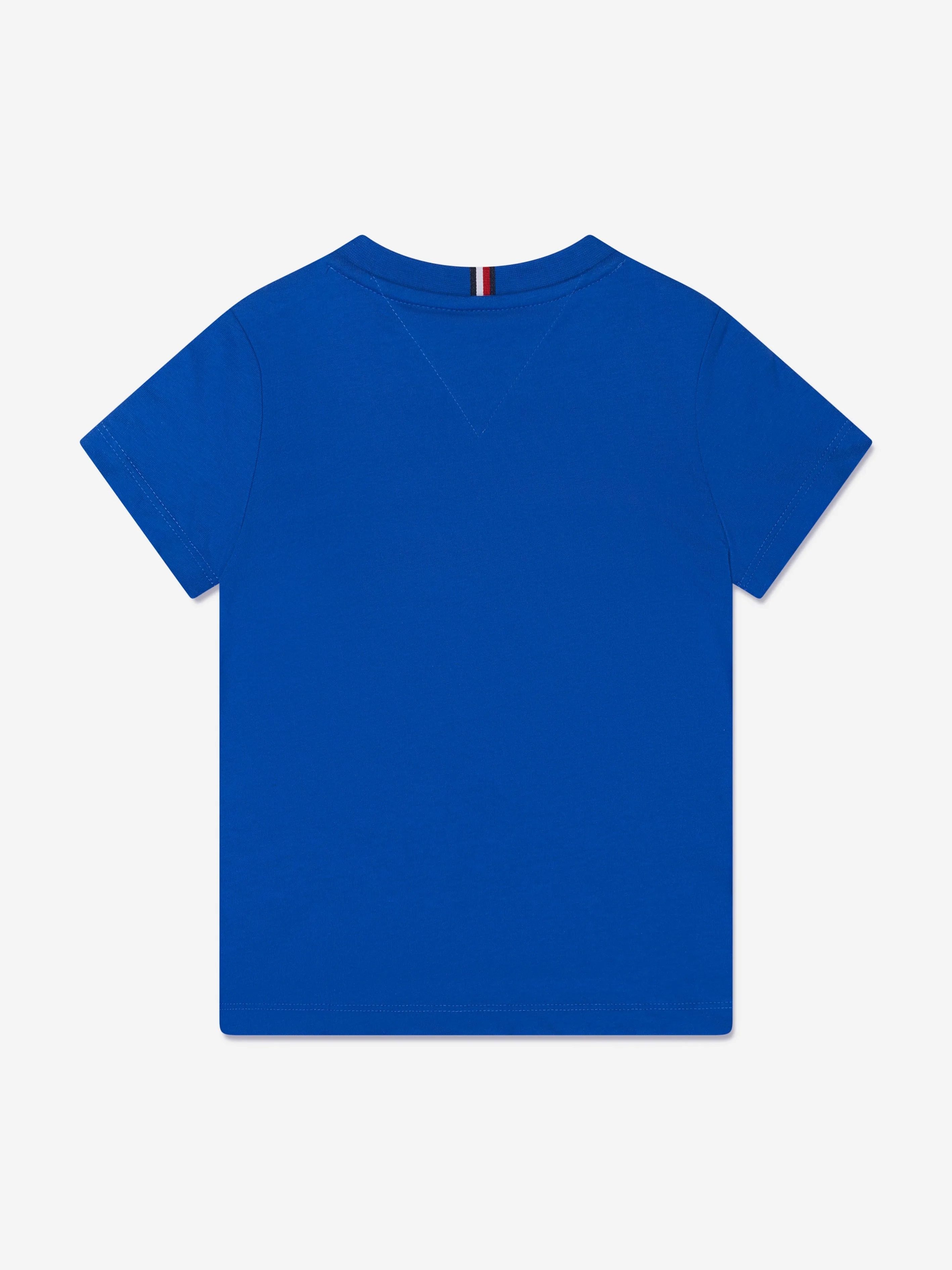 Tommy Hilfiger Boys Global Stripe T-Shirt in Blue