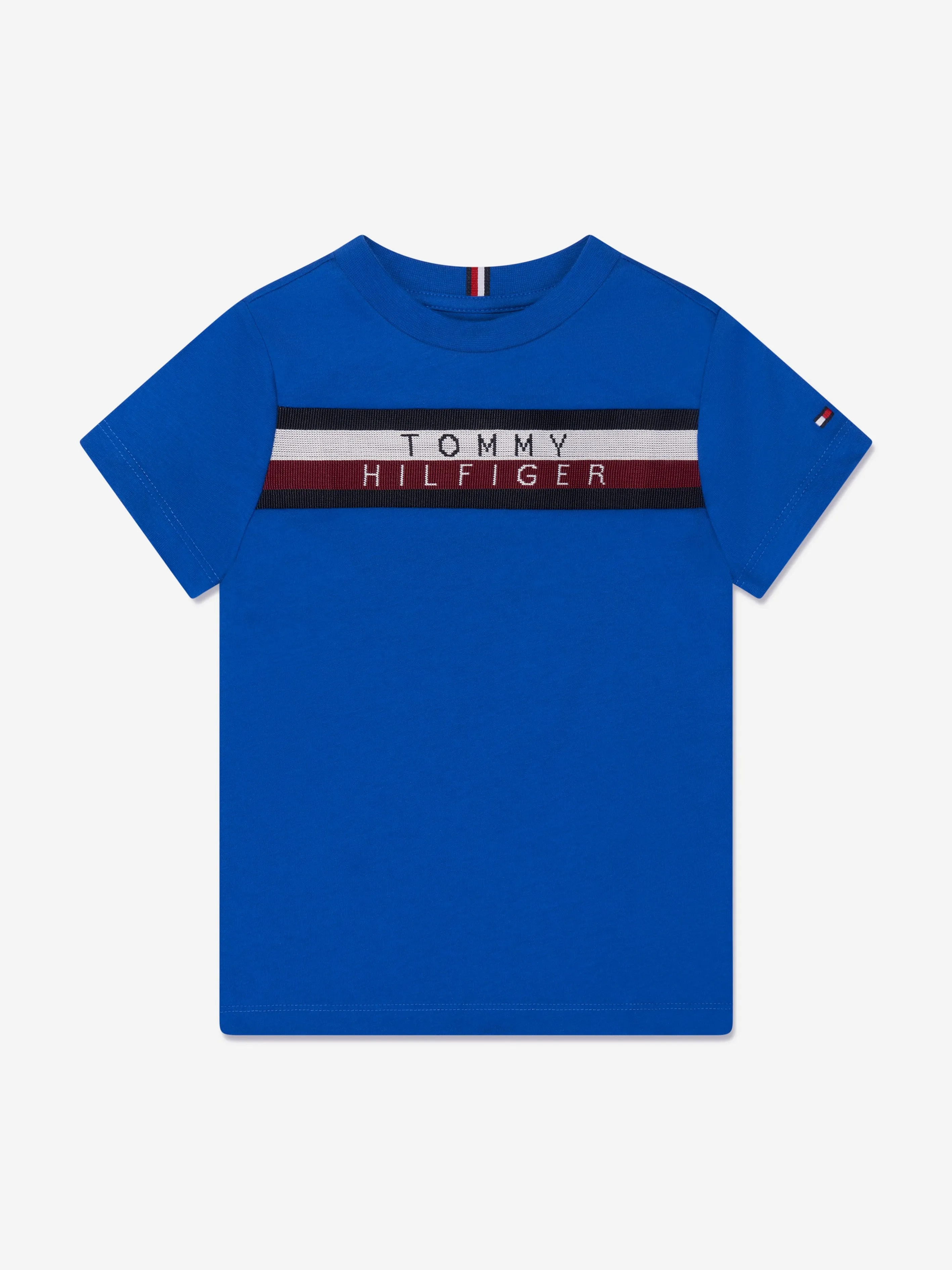 Tommy Hilfiger Boys Global Stripe T-Shirt in Blue